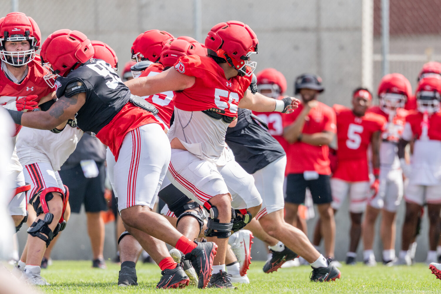 Utah football in the dog days of camp....